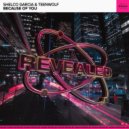 Shelco Garcia & Teenwolf - Because Of You