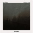 Janis Dzenis - Greater Than Us ()