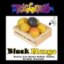 Riggers & Michael McNabb - Black Mango (Michael McNabb Remix)