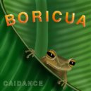 Caidance - Boricua (Instrumental)