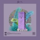 Taher.A  - The Journey Of A Lizard