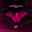 RÜFÜS DU SOL - Innerbloom (Franz Ragga VIP Mix)