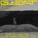 Calvin Harris, Rag\'n\'Bone Man - Giant (Riccarddo Falconelli Bootleg Remix)