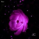 Nubal - Lotus