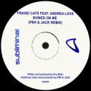 Praise Cats Ft. Andrea Love - Shined On Me