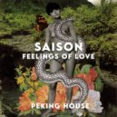 Saison - Feelings Of Love