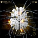Dave Steward - The Calling