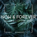 Dominik Jesz & Heela - Now & Forever (Original Mix)