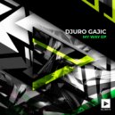Djuro Gajic - Hallucination