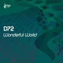 D72 - Wonderful World