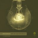 SpockNinja - Undermining The Imperial Law (Original Mix)