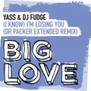Yass & DJ Fudge - (I Know) I'm Losing You
