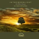 In The Moonlight - So Far Away