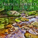 Gene Pierson - Rainforest Dawning