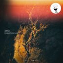 Anyice - Parallel Radiations