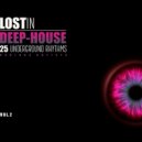 Deep Hotel - Icarus (Fly High Mix)