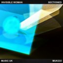 Invisible Woman - Prism (Original Mix)
