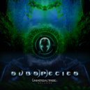 Spiradical - Love For The Maelstrom