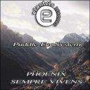 Puddle EcoSystem - Phoenix