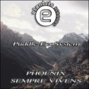 Puddle EcoSystem - sempre Vivens (Original Mix)