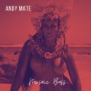 Andy Mate - Mosaic Bass