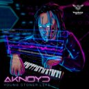 Aknoyd - Critical Solution