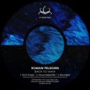 Romain Pellegrin - Moonlight (Original Mix)