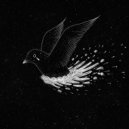 ChillHop Cafe & HIP-HOP LOFI & LO-FI BEATS - Btm