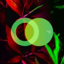 KARAAL - Hide