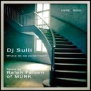 Dj Sulli & Ralph Falcon - Where do we come from?