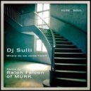 Dj Sulli & Ralph Falcon - Where do we come from? (Ralph Falcon radio dub)
