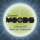 startech42 - Bird of Paradise (Extended Mix)
