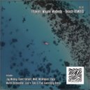 Fhaken, Wayne Madiedo - Beach (Jay Mosley Remix)