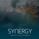 Hydraulx & Soul Gondwana - Synergy