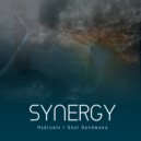 Hydraulx & Soul Gondwana - Synergy (SG-Dub Sphere Mix)
