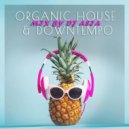 DJ ASIA - ORGANIC HOUSE & DOWNTEMPO MIX ()