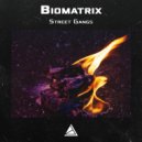 Biomatrix - Tyger Claws