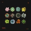 Larse - We Were Young