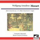 Mozart Festival Orchestra - Horn Concerto no. 2 in E flat major KV 417: Andante
