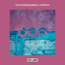 Sonic Dust Ft. Ratsouk - In This Room