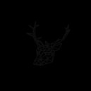 Deer Mx & Rob Ascough - Wild Eyes