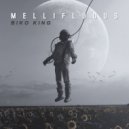 Biko King - Don't Let Go