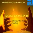 Promax & Arkady Kulish - Walking On The Sun ()