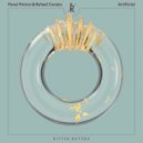Pavel Petrov, Rafael Cerato - Artificial