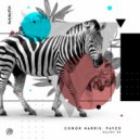 Conor Harris, Pavzo - Sultry