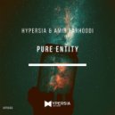 Hypersia & Amir Farhoodi - Pure Entity