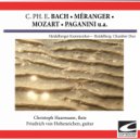 Christoph Haarmann & Friedrich von Hobeneichen - C.Ph.E. Bach - Sonate D-Dur, WQ. 126 - Allegro