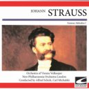 Orchestra of Vienna Volksoper - Morning Leaves op. 279