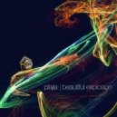 Plajia - The Other Life Of Squared Pixels