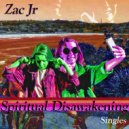 Zac Jr - Do What You Want (Singles)
